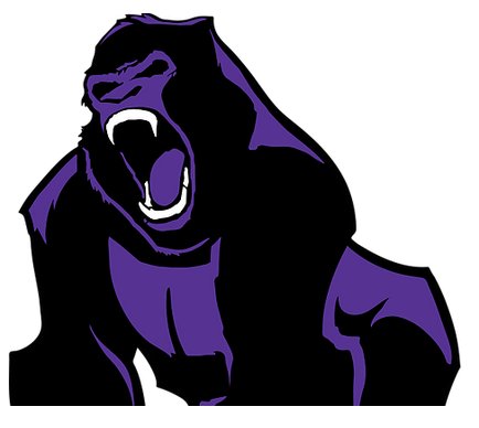 Placeholder Picture